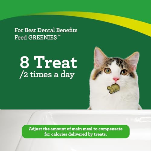 Greenies Feline Adult Natural Dental Care Cat Treats, Catnip Flavor, 2.1 oz. Pouch