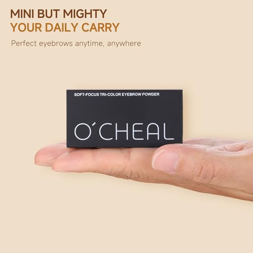 CCbeauty 3-Color Eyebrow Powder Kit with Stencils & Tools