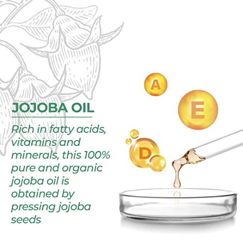 Refresh Botanicals Certified Organic Jojoba Oil
