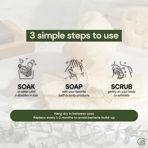Chill Ah Natural Loofah Sponge 4-Pack – Plant-Based Bath Exfoliator