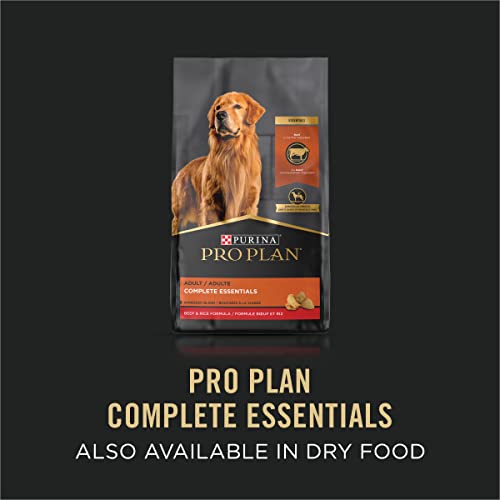 Purina Pro Plan Sensitive Skin and Stomach Dry Dog Food Senior Adult 7 Plus Salmon and Rice Formula - 24 lb. Bag