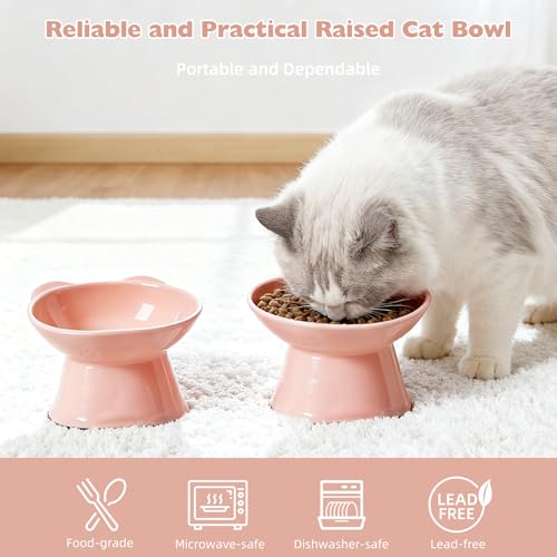KSIA Elevated Cat Bowls 2 Pack, 15° Tilted Whisker Friendly