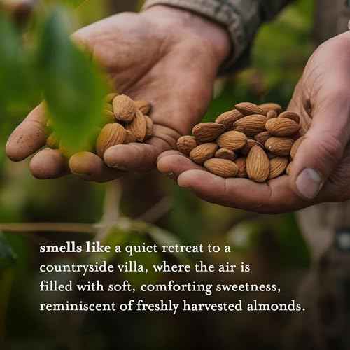 A LA MAISON Sweet Almond Natural Hand Wash Made with Essential Oils - Biodegradable, Plant-Based, Vegan, Cruelty-Free (33.8 Fl Oz Refill, 1 Pack)