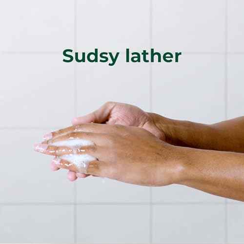 Irish Spring Men's Body Wash Shower Gel, Charcoal Refresh, 20 Fl Oz (Pack of 4)