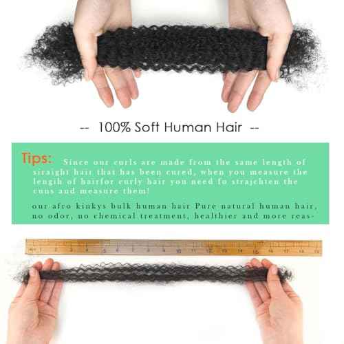 Afro Kinky Curly Human Hair Bulk for Permanent Micro Locs/Twists/Braids/Repair Locs Afro Kinkys Curly Bulk Human Hair14 inch 27# 50 Gram 1 Pack