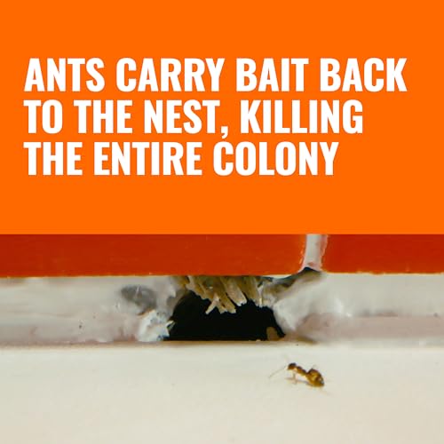 TERRO Ant Killer Bait Stations T300B - 12 Count