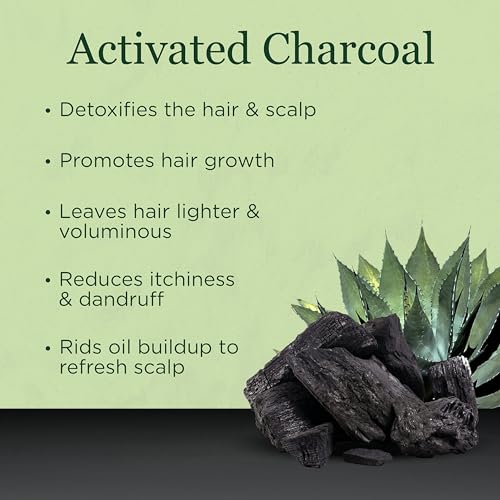 Saragan Activated Charcoal Conditioner - Clarifying Conditioner w/Argan Jojoba Oils - Sulfate & Paraben Free Conditioner for Women & Men - Charcoal Detox Conditioner Hair Care (16 oz) All hair types