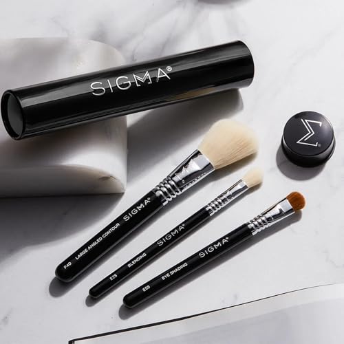 Sigma Beauty Professional E25 Eyeshadow Blending Brush ? Professional Eyeshadow Brush for Seamless Eyeshadow Blending, Softens Dramatic Edges & Harsh Lines for a Well Blended Effect (1 Brush)