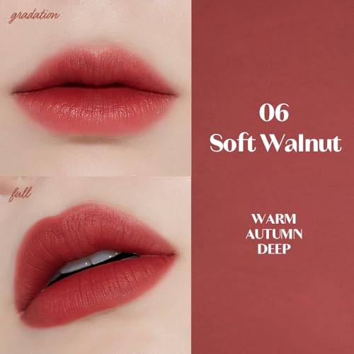ETUDE Fixing Tint #06 Soft Walnut Waterproof Lip Stain