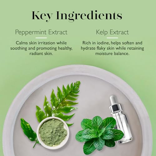 Spongellé Essentials Green Tea Bliss Mani/Pedi Exfoliating Scrub Buffer