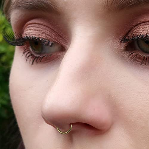 Set of 2 Fake Clip On Nose Rings 20g - Gold Tone Tiny Faux Piercing Hoops - No Piercing Needed