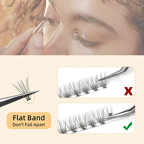 QUEWEL Cluster Lashes 240Pcs 10D 0.10C 10mm DIY Eyelash Extensions