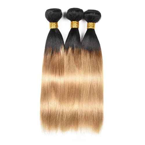 10 12 14 inch Honey Blonde Human Hair Ombre Bundles 1B27 Blonde Straight Human Hair Two Tone Bundles Brazilian Hair Weave Honey Blonde Straight Hair Extensions