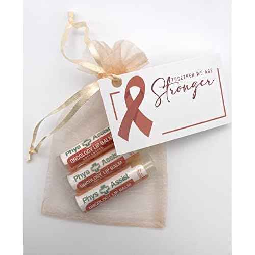 PhysAssist Oncology Lip Balm USDA Organic Unflavored Moisturize, Hydrate & Protect Dry parched lips during Chemo or Radio USDA Organic. 3 Pack