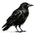Black Ravens Temporary Tattoos - 6 Sheets Waterproof Neck Arm Chest