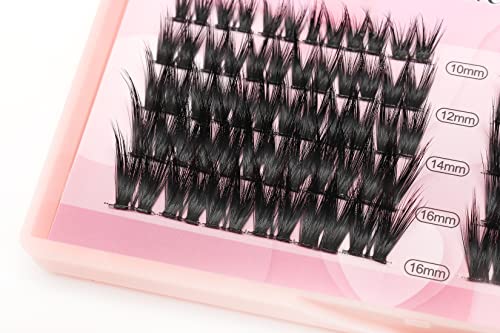 D Curl Cluster Lashes Mixed 10-16mm Eyelash Extensions