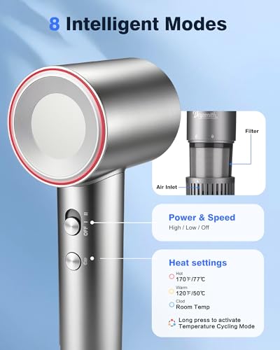 Dcyzenith Grey High-Speed Ionic Hair Dryer with Diffuser & Concentrator