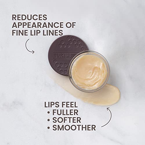 BURTS BEES Overnight Lip Treatment, 7.08 GR