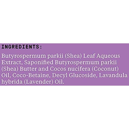 Alaffia Shampoo, Lavender 2-Pack ? EveryDay Shea Sulfate-Free Shampoo with Moisture-Rich Shea Butter and Coconut Oil, 32 Oz Ea