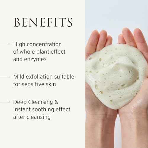 Whole Plant Daily Foam & Exfoliant (2.82 oz) ? Matcha Facial Cleanser, Gentle Enzyme Foam, Suitable for Sensitive Skin, Korean Skincare, Rich Lather, Makeup Remover