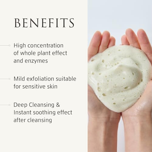 Whole Plant Daily Foam & Exfoliant (2.82 oz) ? Matcha Facial Cleanser, Gentle Enzyme Foam, Suitable for Sensitive Skin, Korean Skincare, Rich Lather, Makeup Remover