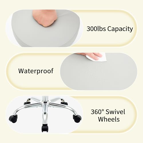 Rolling Stool Adjustable Height 19.5¡¯¡¯-26.6¡¯¡¯,Tattoo Chair for Artist, Gray Stool for Hairstylist (Gray)