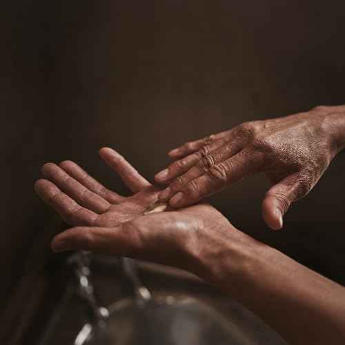 Aesop Parsley Seed Cleansing Masque | Clay Mask for Gentle but Deep Cleanse | Enhanced with Aloe Vera and Botanical Extracts | 2.3oz / 60mL