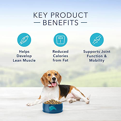 Blue Buffalo Life Protection Formula Natural Adult Healthy Weight Dry Dog Food, Chicken and Brown Rice 6-lb