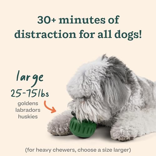 WOOF Pupsicle - Long-Lasting Interactive Dog Toy to Keep Your Pup Distracted - Safe for Dogs - Low-Mess Design - Dog Toys for Large Dogs 25-75 lbs