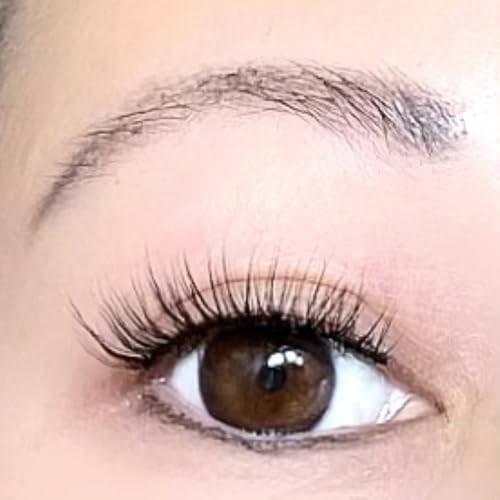 Lashes Faux Mink 10 Pairs (Everyday 220)