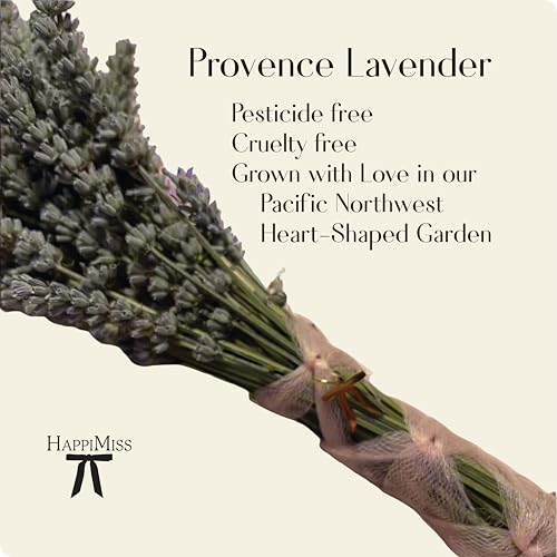 Lavender Botanical Lotion with Aloe, Honey, Coconut Milk, Natural Plant Extracts, Nourishing Body Moisturizer for Delicate Skin (2 oz, Lavender Whisper)