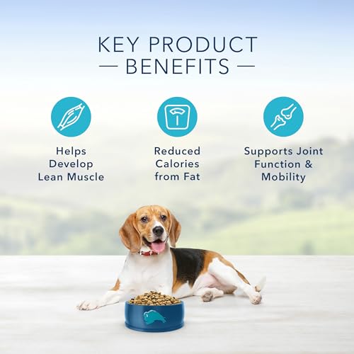 Blue Buffalo Life Protection Formula Healthy Weight Adult Dry Dog Food, Supports an Ideal Weight, Made with Natural Ingredients, Chicken & Brown Rice Recipe, 5-lb. Bag