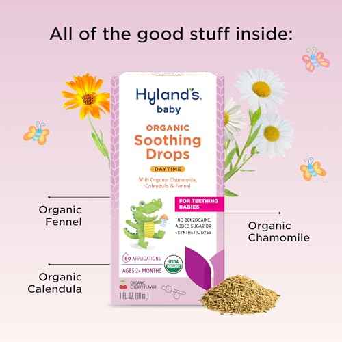 Hyland's Baby Organic Daytime Soothing Drops for Oral Discomfort, 1 oz, Ages 2 Months and up, Organic Cherry Flavor