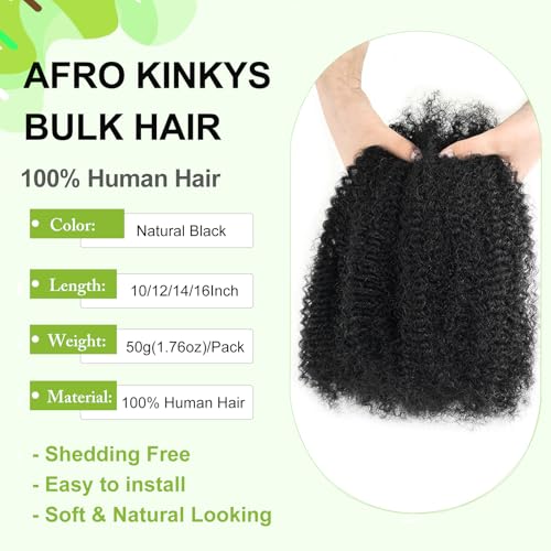 Poetically 10 Inch Afro Kinkys Bulk Human Hair 2 Bundles 100g Natural Black for Twist Dreadlock Extensions & Braids - Variant 1B / 10 Inch Kinkys Bulk