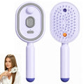 Electric Spray Ionic Hair Brush with Massage & Oil