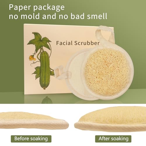 Natural Loofah Face Scrubber 4-Pack | Organic Exfoliating Pads