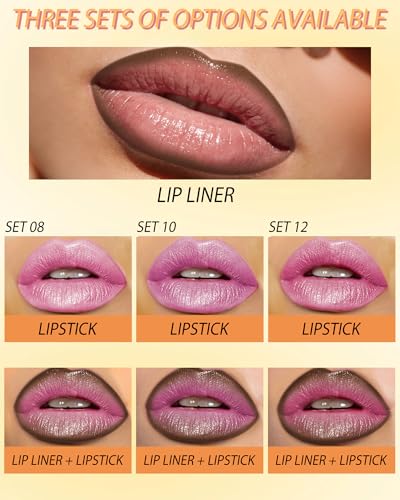 Light Pink Shimmer Lipstick & Brown Liner Combo Set