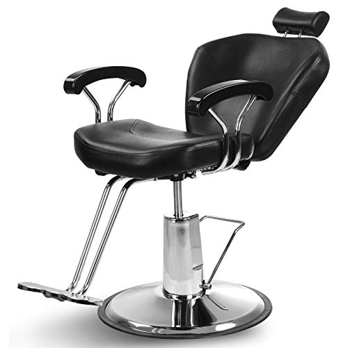 Artist Hand Professional Barber Chair - Hydraulic Reclining Salon Chair