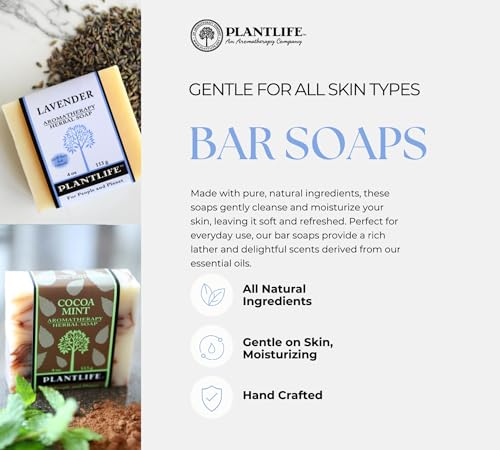 Plantlife Coconut Lime Bar Soap - Moisturizing and Soothing Soap for Your Skin - Hand Crafted Using Plant-Based Ingredients - Made in California 4oz Bar