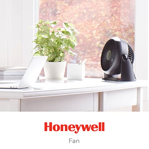 Honeywell HT-900 TurboForce Air Circulator Fan Black, Small- 4 Pack