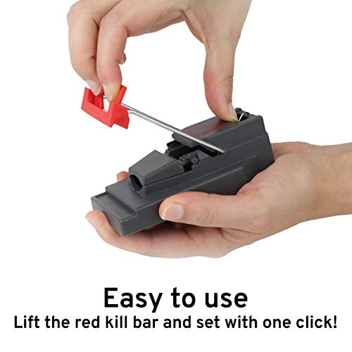 Victor M123SSR Quick-Kill Easy Set Mouse Trap - 6 Reusable Mouse Traps