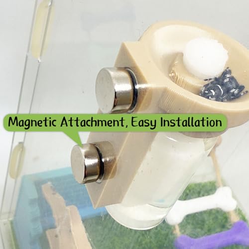 Magnetic Jumping Spider Water Dispenser - 10ML Hydration Feeder