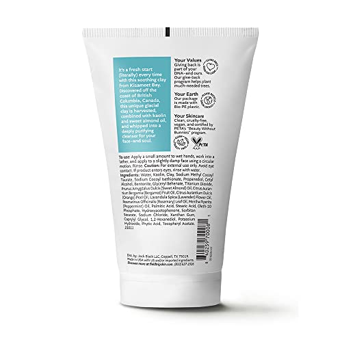 Fieldtrip Fresh Start Purifying Face Cleanser with Glacial Clay, 4 fl oz,