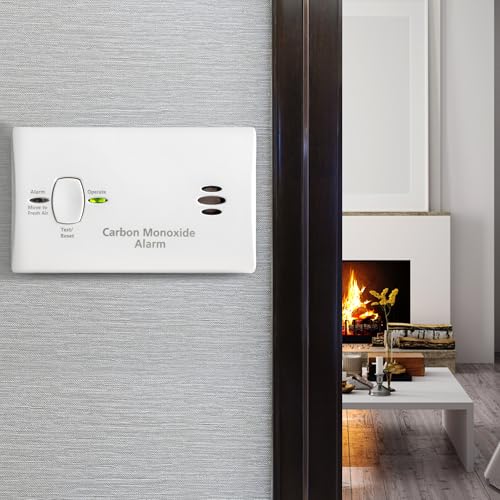 Kidde Portable Carbon Monoxide Detector with 85 dB Alarm
