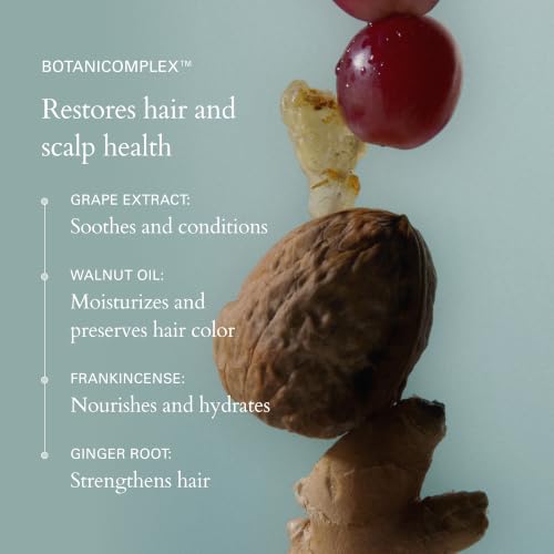 RŌZ Hydrating Shampoo & Conditioner Set - Sulfate-Free, All Hair Types
