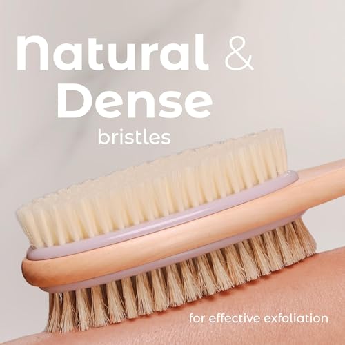MainBasics Long Handle Back Scrubber Shower Brush - Dual Sided Lavender