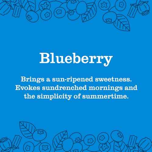 Mrs. MEYER'S CLEAN DAY Liquid Hand Soap, Blueberry Scent, 12.5 Ounce Bottle