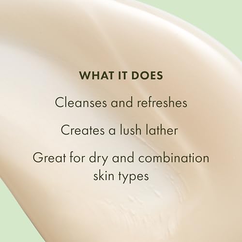 Origins A Perfect World Antioxidant Cleanser | For Dry and Combination Skin | With White Tea & Glycerin, 5 Fl Oz