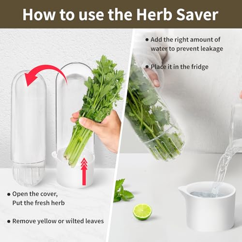 UEOZ 3PCS Herb Keeper for Refrigerator - Fresh Cilantro & Vegetable Storage Container Set