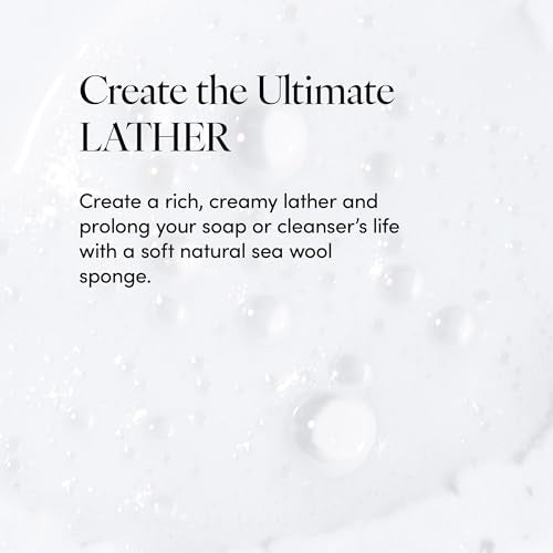 Natural Sea Wool Sponge 5-6" | Organic Body Exfoliator